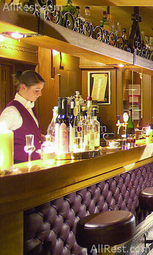 Hotel Chalet Portillo 9